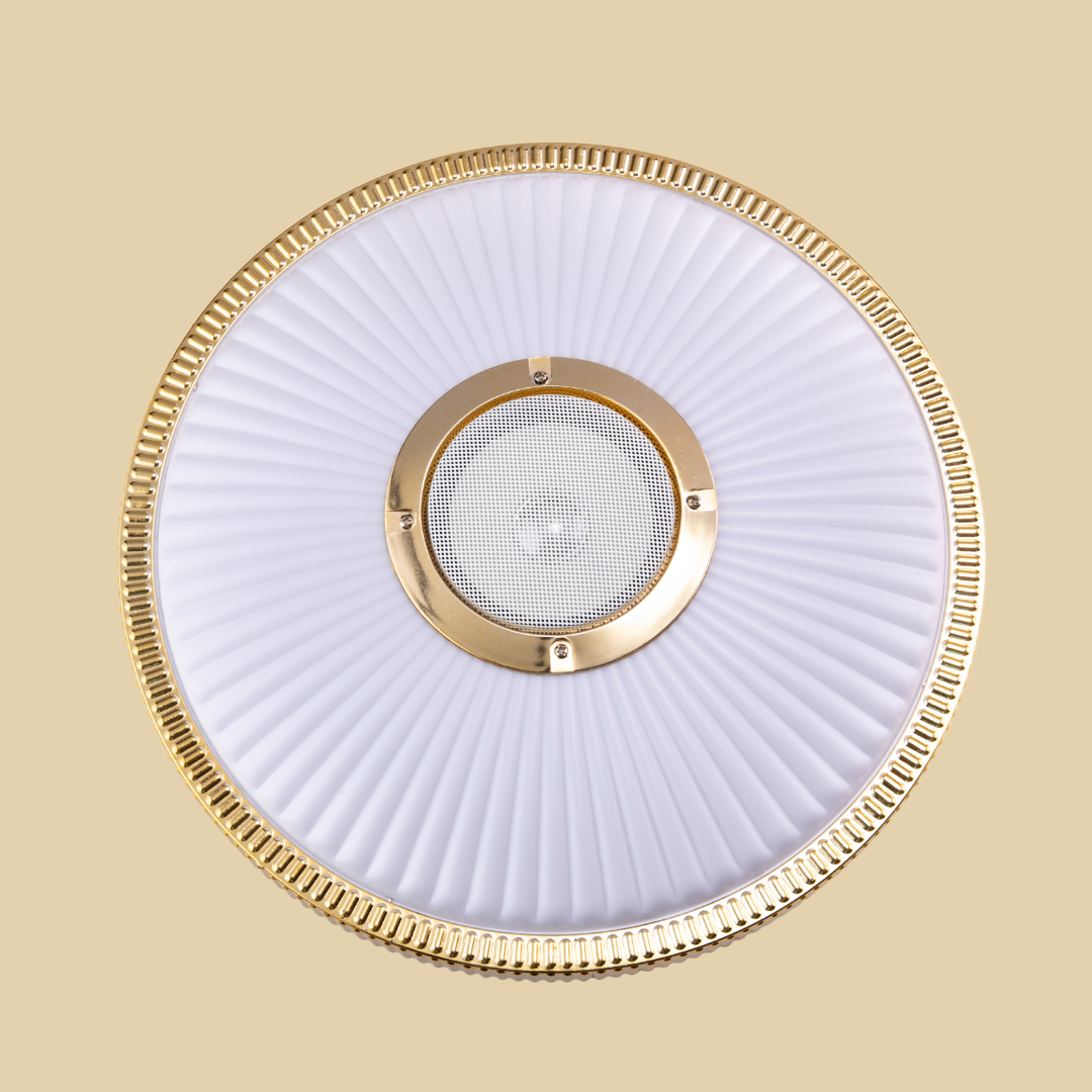 LEDX Dekoratif LEDli Tavan Armatürü Hoparlörlü